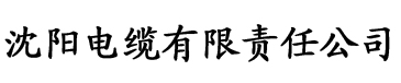 青苹果影院悠久影院电缆厂logo